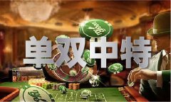 2024年奥彩开V5