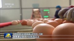 新思惟引领新征程丨加速扶植数字村落