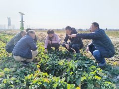 <b>安徽肥东：好一幅朝气盎然“春耕备耕图</b>