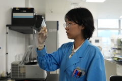 攥紧种子拆满粮 中国饭碗里的种业新质出