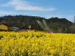 <b>田畴新景送春景——西部地域春耕田间的</b>